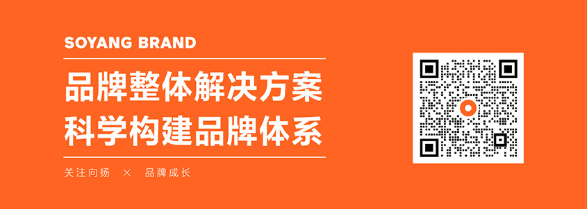 向揚(yáng)品牌深圳品牌全案策劃公司.jpeg